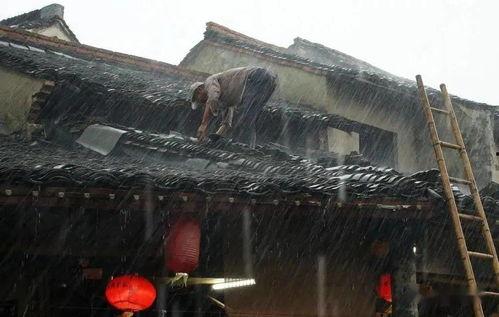 潮汕木屋爆料事件视频,揭秘当地传统民居现状  第3张